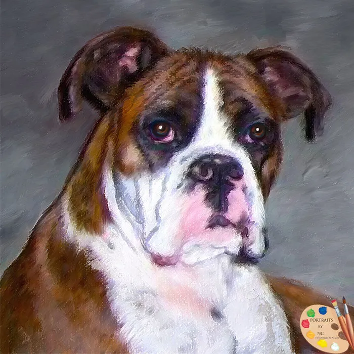 Boxer Dog Portrait in Oil Portraits by NC Earrings