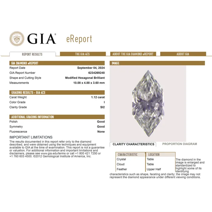 Earrings 112ct 1008x488x360mm GIA SI2 I Hexagon Brilliant 2535201 Misfit Diamonds