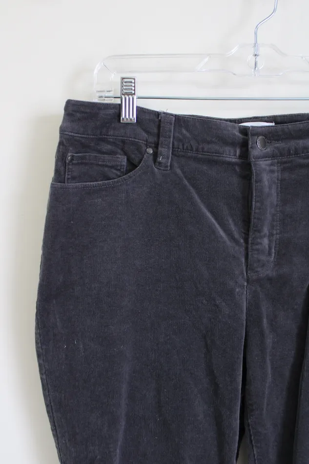 Earrings Charter Club Charter Club Lexington Straight Gray Corduroy Pants 12 PS