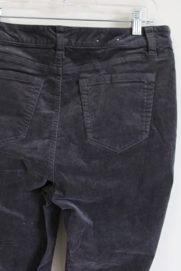 Earrings Charter Club Charter Club Lexington Straight Gray Corduroy Pants 12 PS