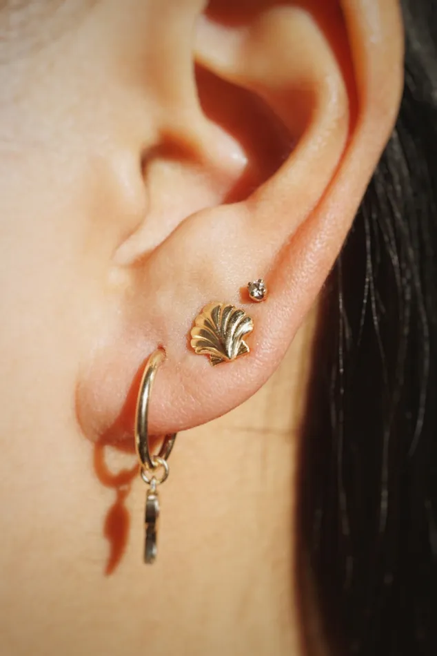 Earrings Foe Dear 14k Yellow Gold Shell Studs readytoship