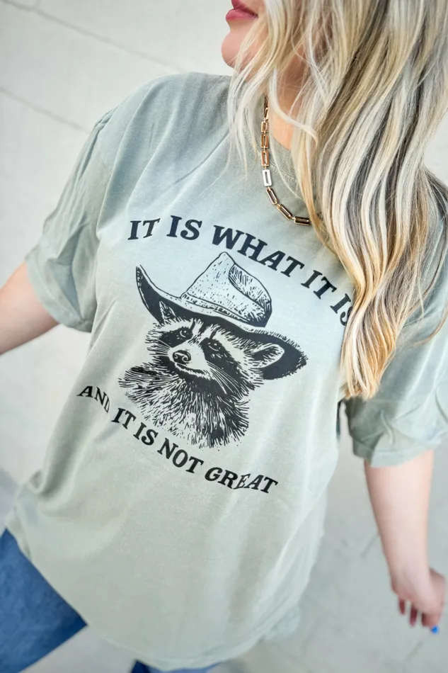 Earrings Not Great Raccoon Graphic Tee Sandstone JL Franklins