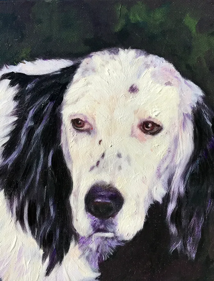 Earrings Portraits by NC Cocker Spaniel Dog Portrait