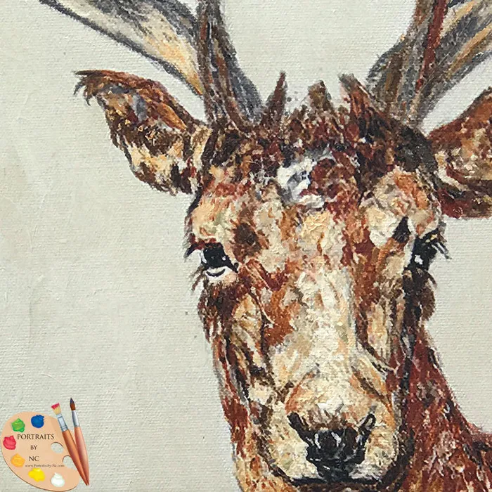 Earrings Portraits by NC Wildlife Art Young Buck Print 209