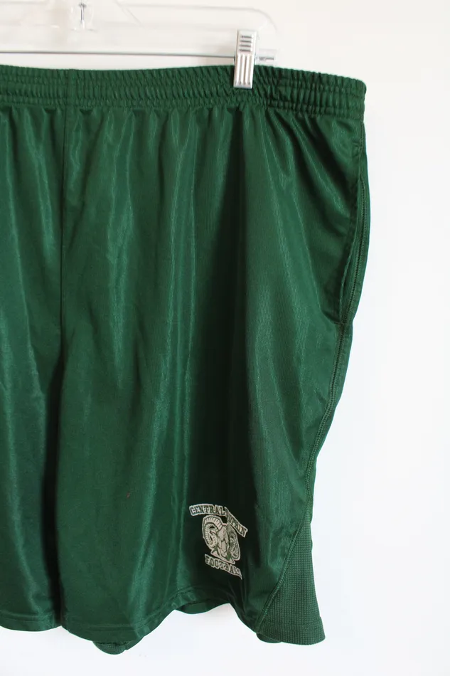 Earrings Under Armour Under Armour Evergreen Central Dauphin Football Shorts XL
