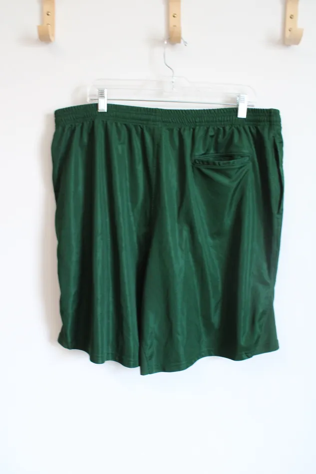 Earrings Under Armour Under Armour Evergreen Central Dauphin Football Shorts XL