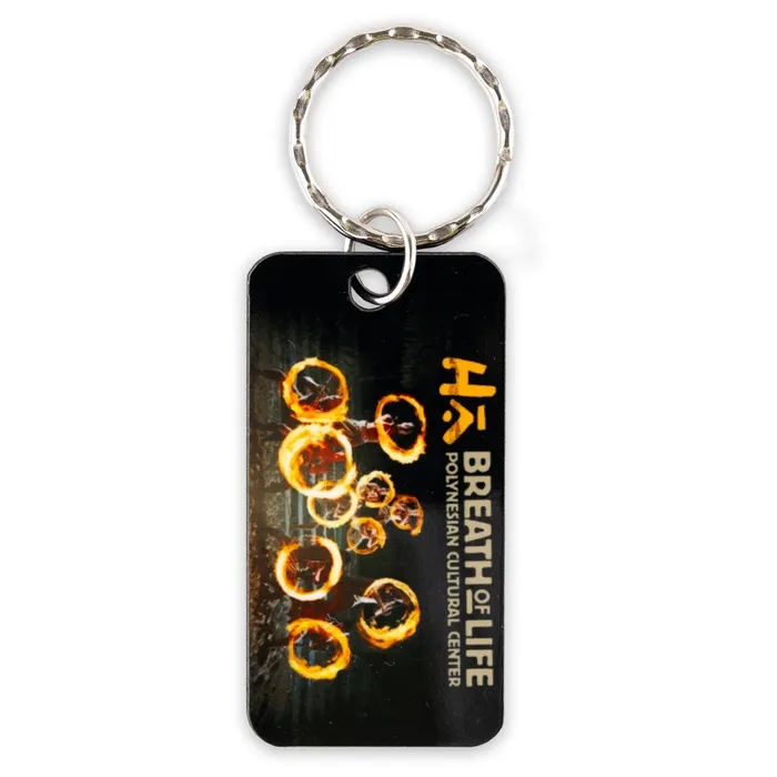 GIFTWORKSPLUS Earrings PCC Rectangle HA Show KeyringFob