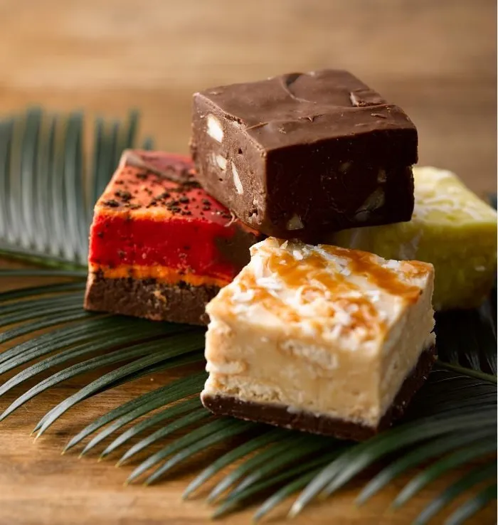 Hawaiian Fudge Fresh Hawaiian Fudge from Tutus Sweet Shop 4 oz Earrings