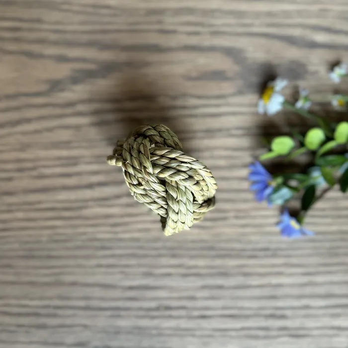iszi ONLINE Rings Braided Napkin Ring Set of 2