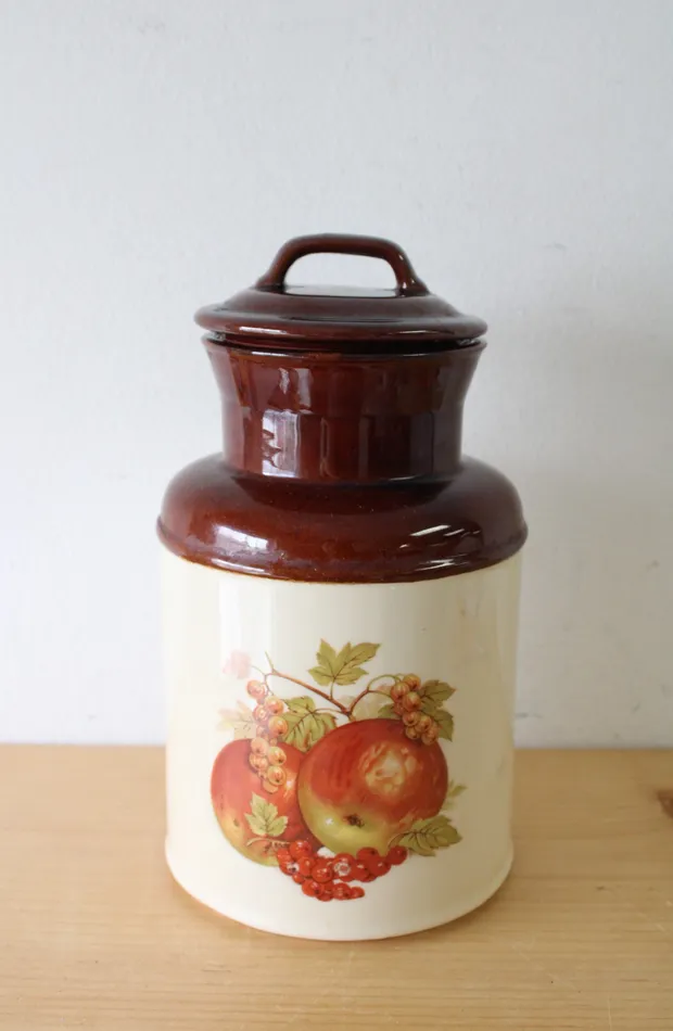 McCoy 252 USA Ceramic Fruit Print Cannister 105 McCoy Earrings