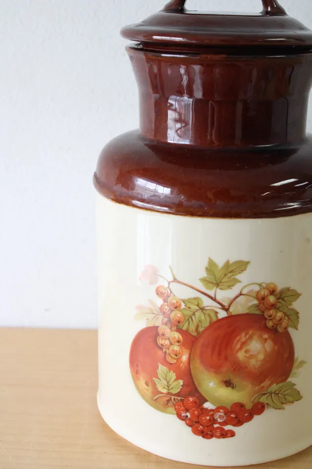 McCoy 252 USA Ceramic Fruit Print Cannister 105 McCoy Earrings