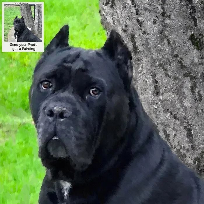 Portraits by NC Earrings Italian Mastiff Dog Oil Portrait