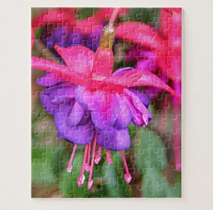 Portraits by NC Necklaces Pink and Purple Fuchsia Flower Traditional Thick Jigsaw Puzzle for Adults 30 to 1000 Pieces Portraits by NC Necklaces Pink and Purple Fuchsia Flower Traditional Thick Jigsaw Puzzle for Adults 30 to 1000 Pieces