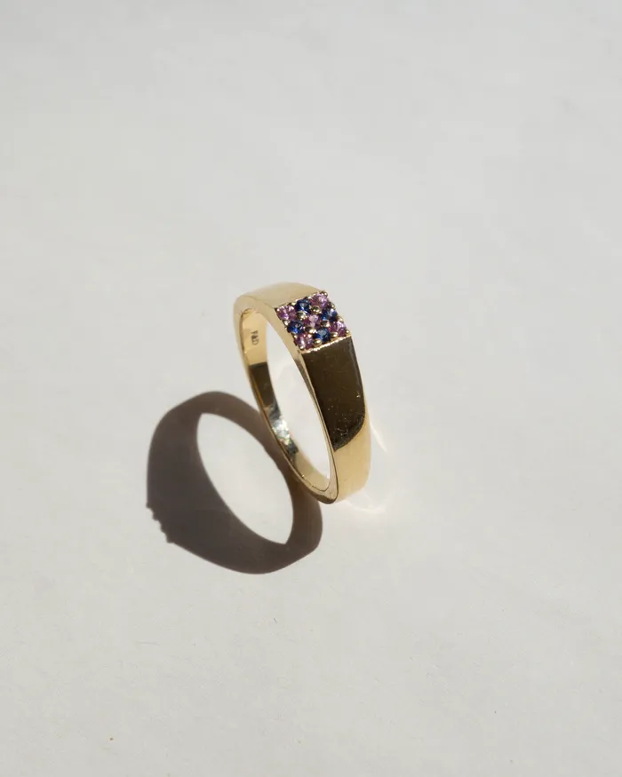 Rings Foe Dear Duetto Signet Ring Blue Pink
