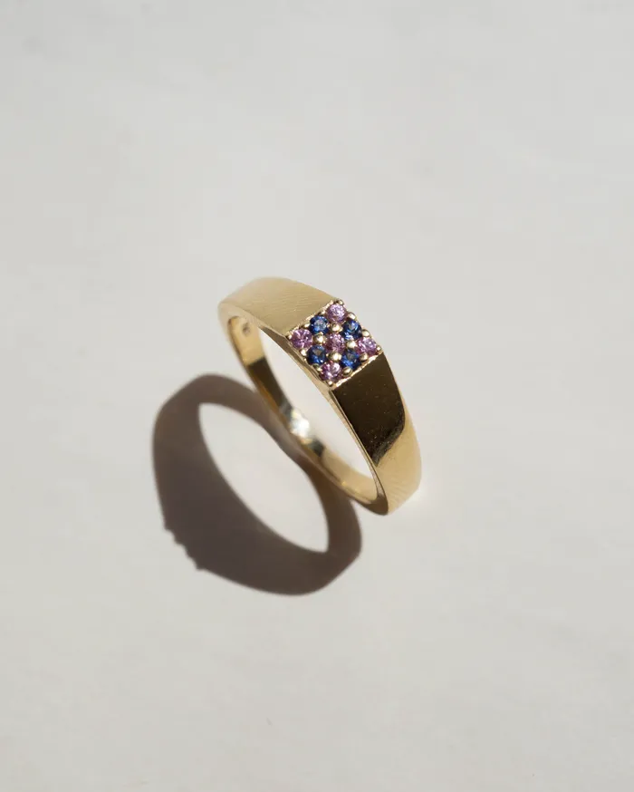 Rings Foe Dear Duetto Signet Ring Blue Pink