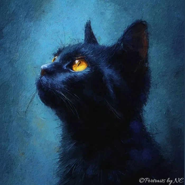 Rings Portraits by NC Midnight Majesty Black Cat on Blue Background