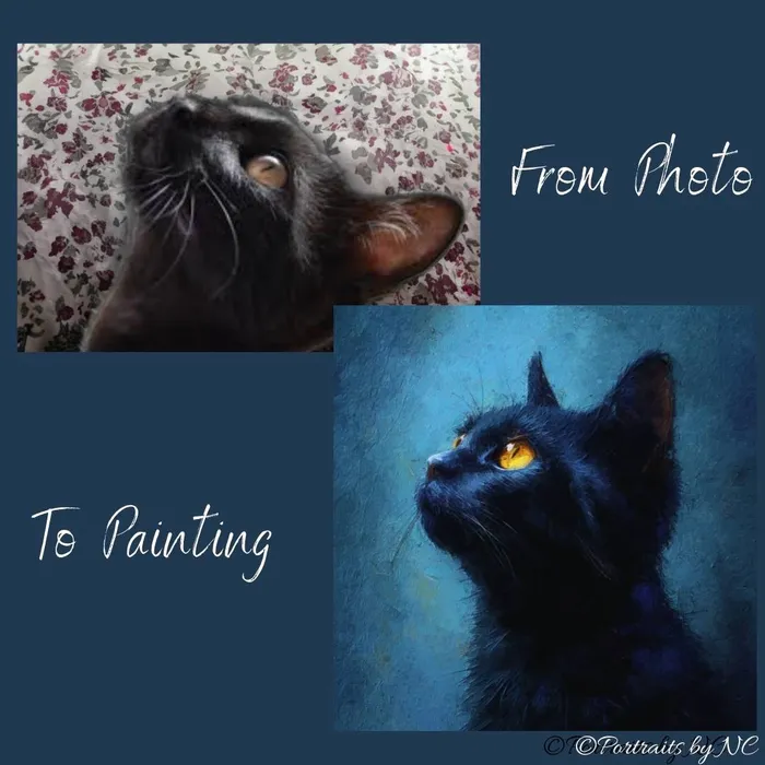 Rings Portraits by NC Midnight Majesty Black Cat on Blue Background