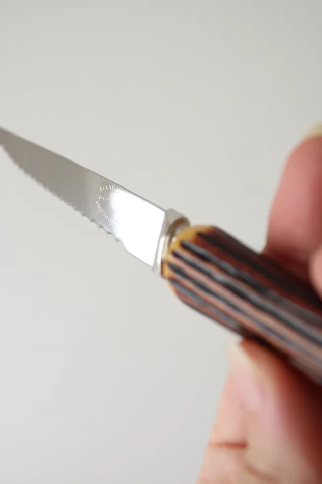 Sheffield England Earrings Sheffield England Vintage Faux Antler Handled Bakelite Serrated Knife Set Of 6