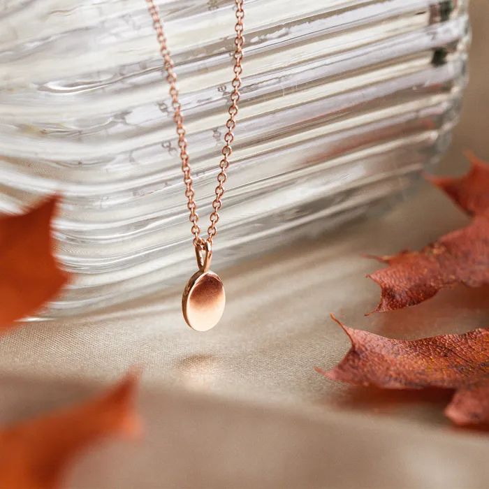Small Oval Heritage Necklace Consider the Wldflwrs Necklaces Small Oval Heritage Necklace Consider the Wldflwrs Necklaces