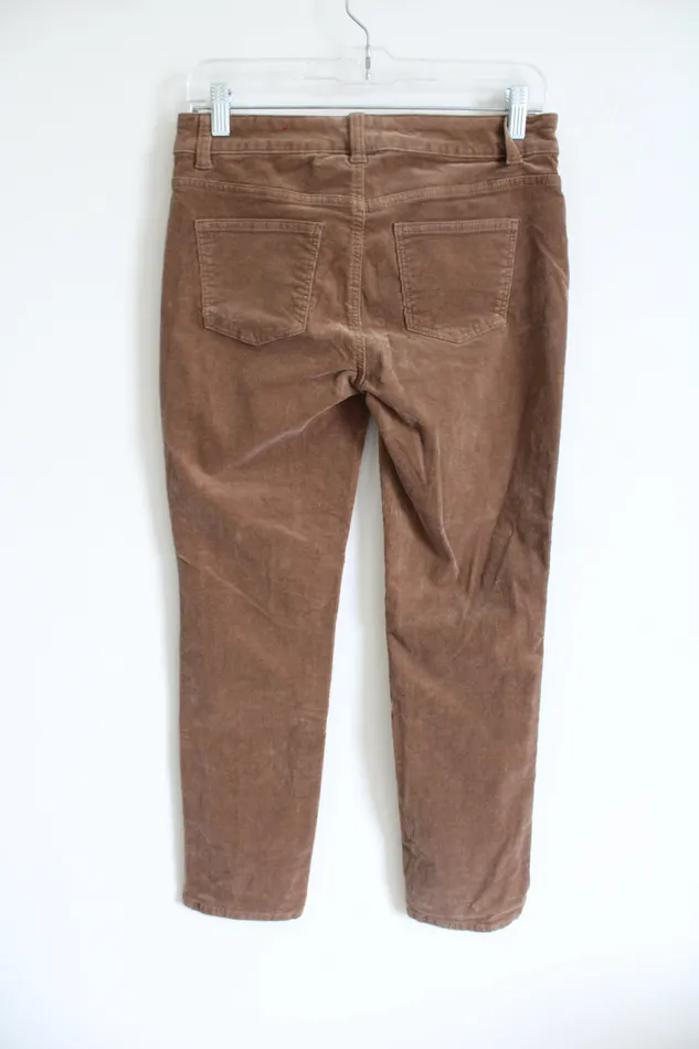 Talbots Earrings Talbots High Waisted Straight Leg Brown Corduroy Pants 4 Petite