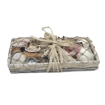 THEBEACHCOMBER Rings Beachcombers Long Shell Basket White