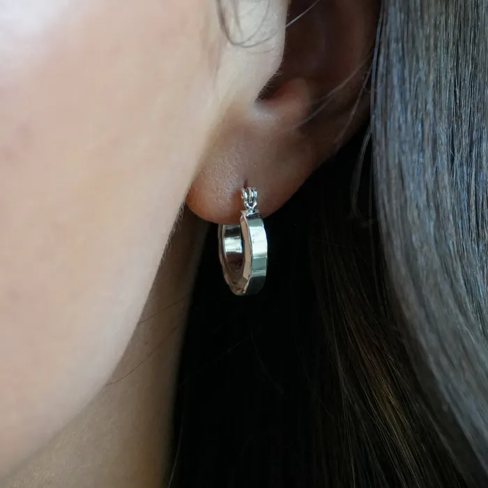 Twisted Silver HORSESHOE Hoops Earrings