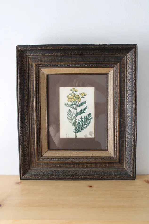 Yellow Botanical Flower Framed Print 14X16 Jubilee Thrift Earrings